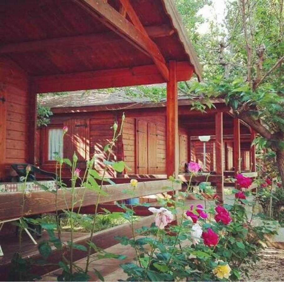 Bungalow & Camping Fuente De Regrustan グラウス エクステリア 写真
